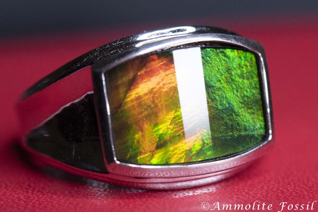 Korite ammolite A Grade silver ring color play chromatic shift fiery red